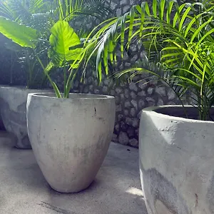 bau-tulum.allrivieramayahotels.com/